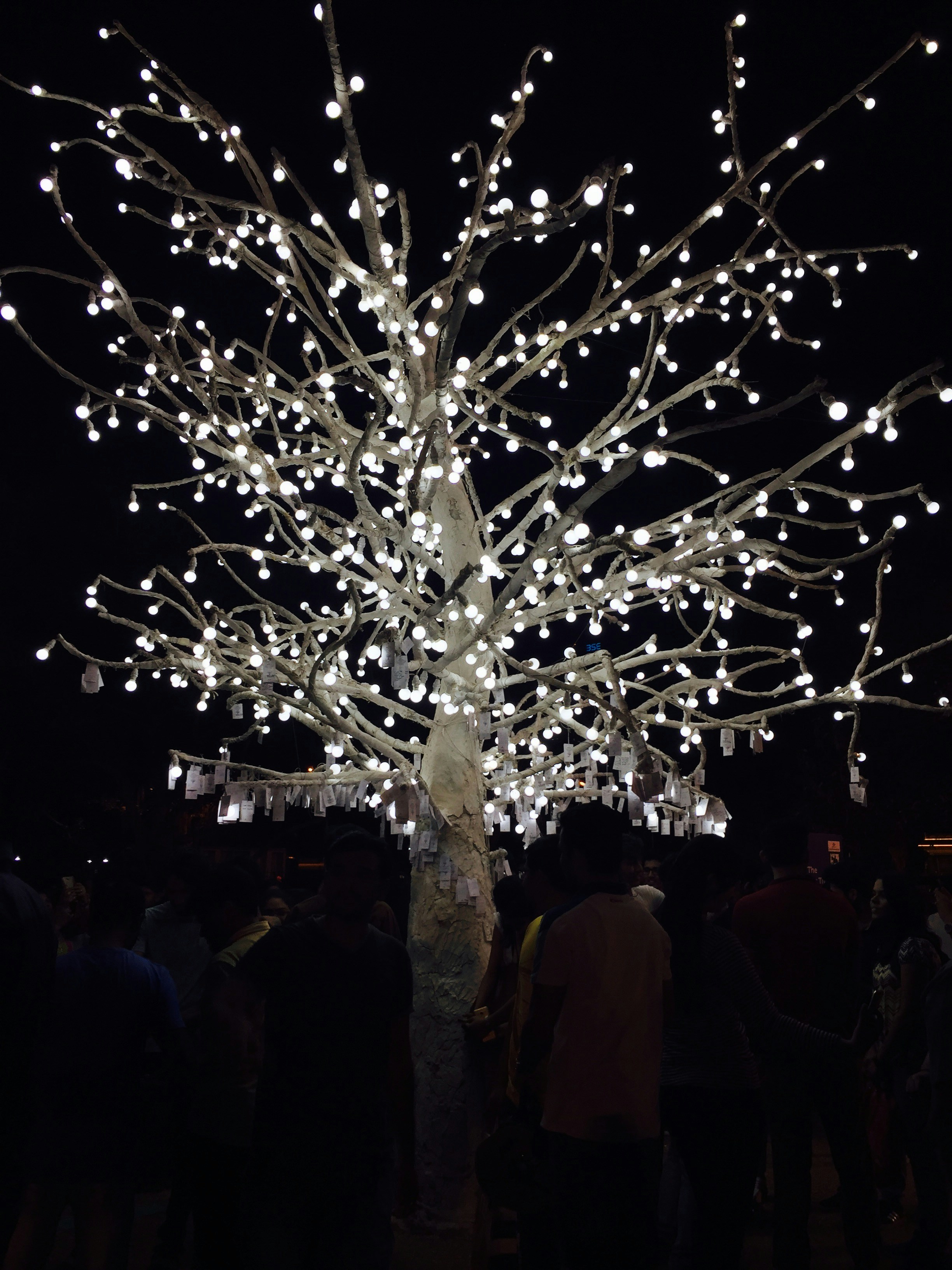 Free Unsplash photo from Divya Dinesh