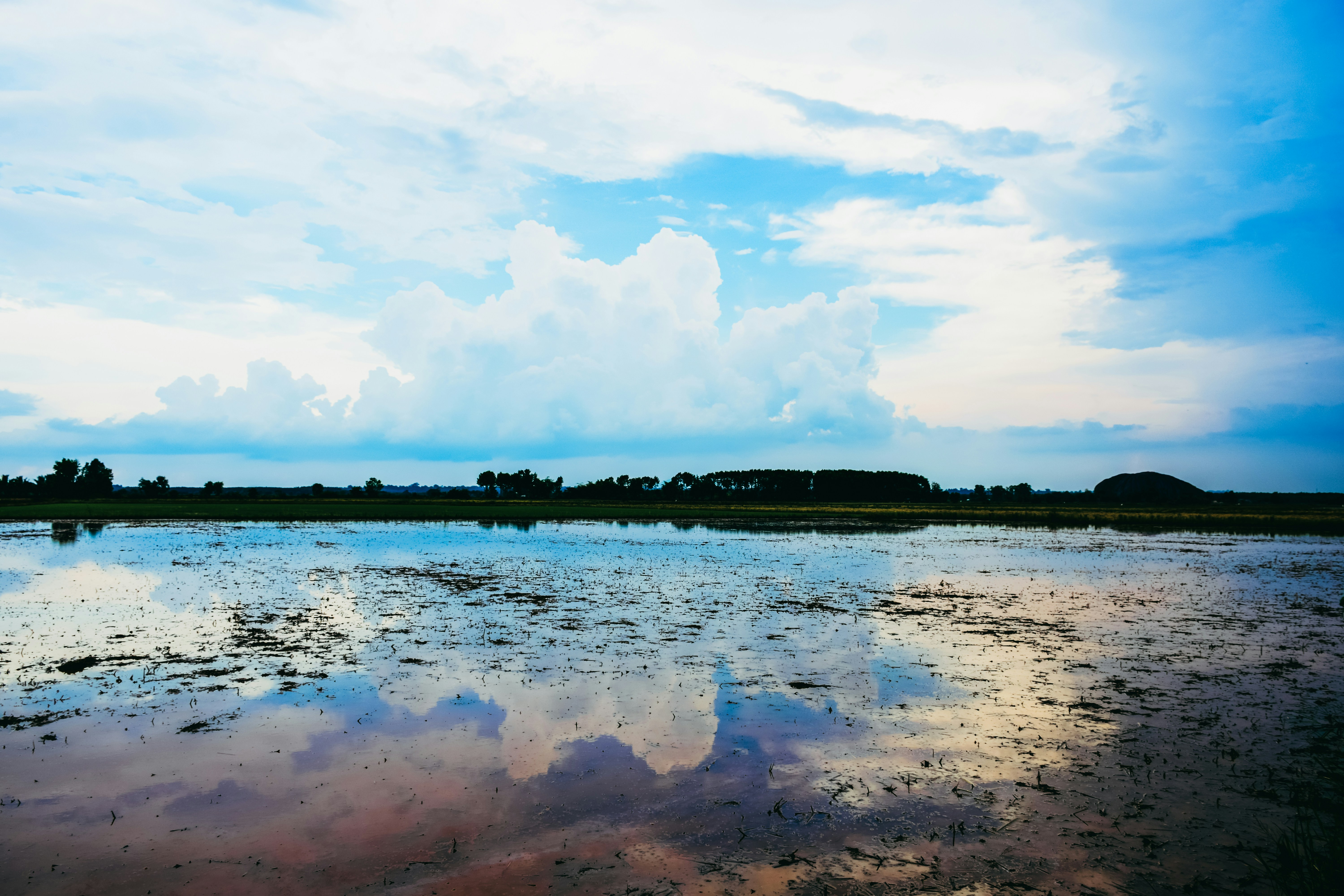 Free Unsplash photo from Thien Dang