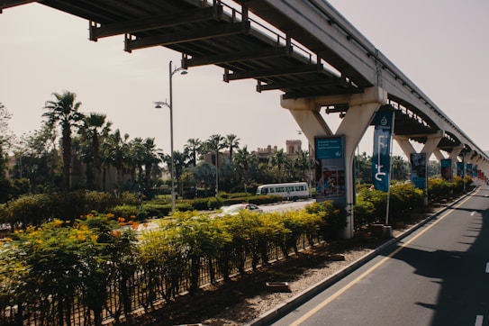 An elevated monorail track runs parallel to a road, where vehicles are visible in the background. Lush greenery, including palm trees and shrubs, lines the pathway beneath the track. There are modern streetlights along the road, and some advertisement banners hang from the monorail support beams.