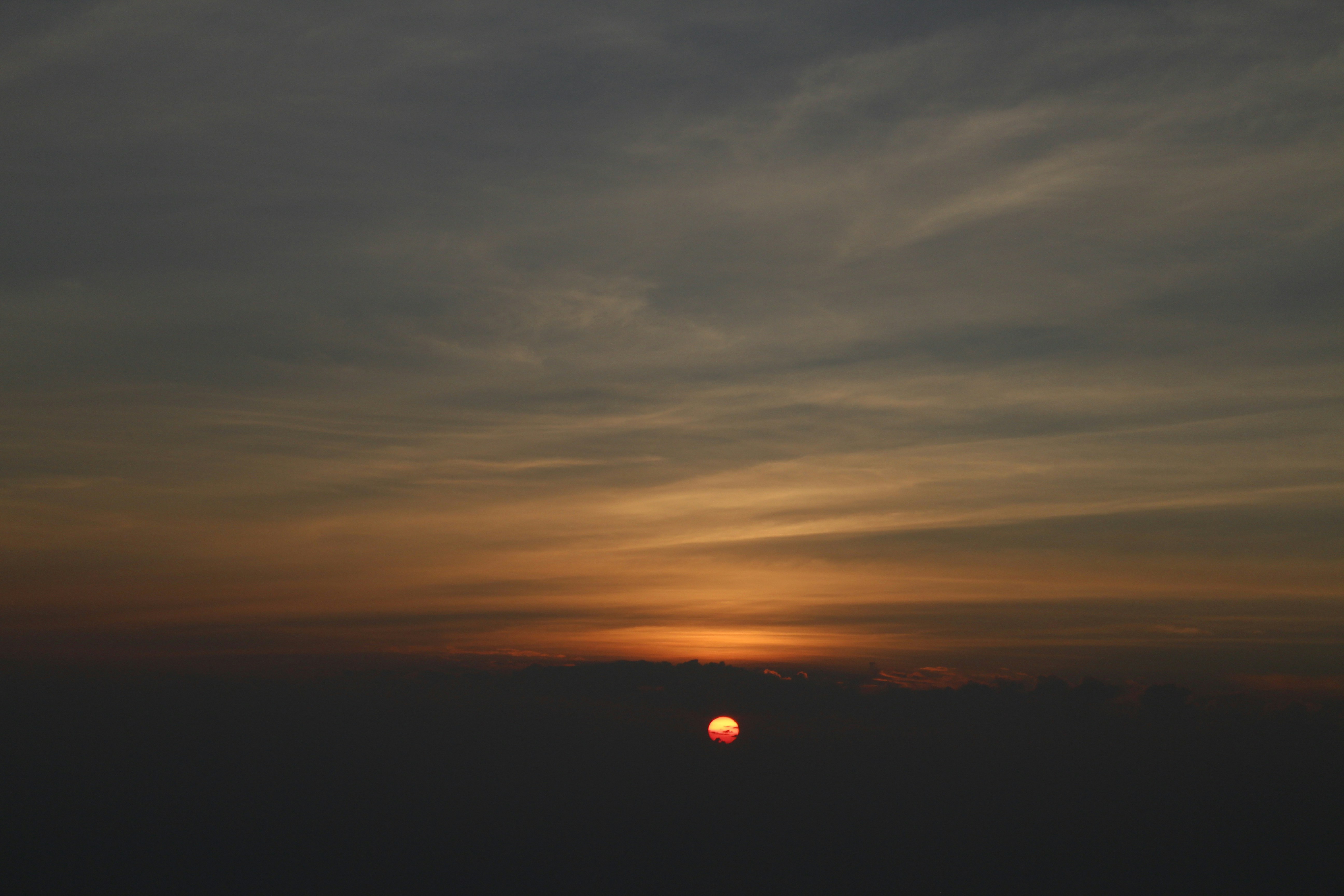 Free Unsplash photo from Ahmad Adityo Anggoro