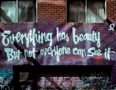 everything has Beauty wall graffiti