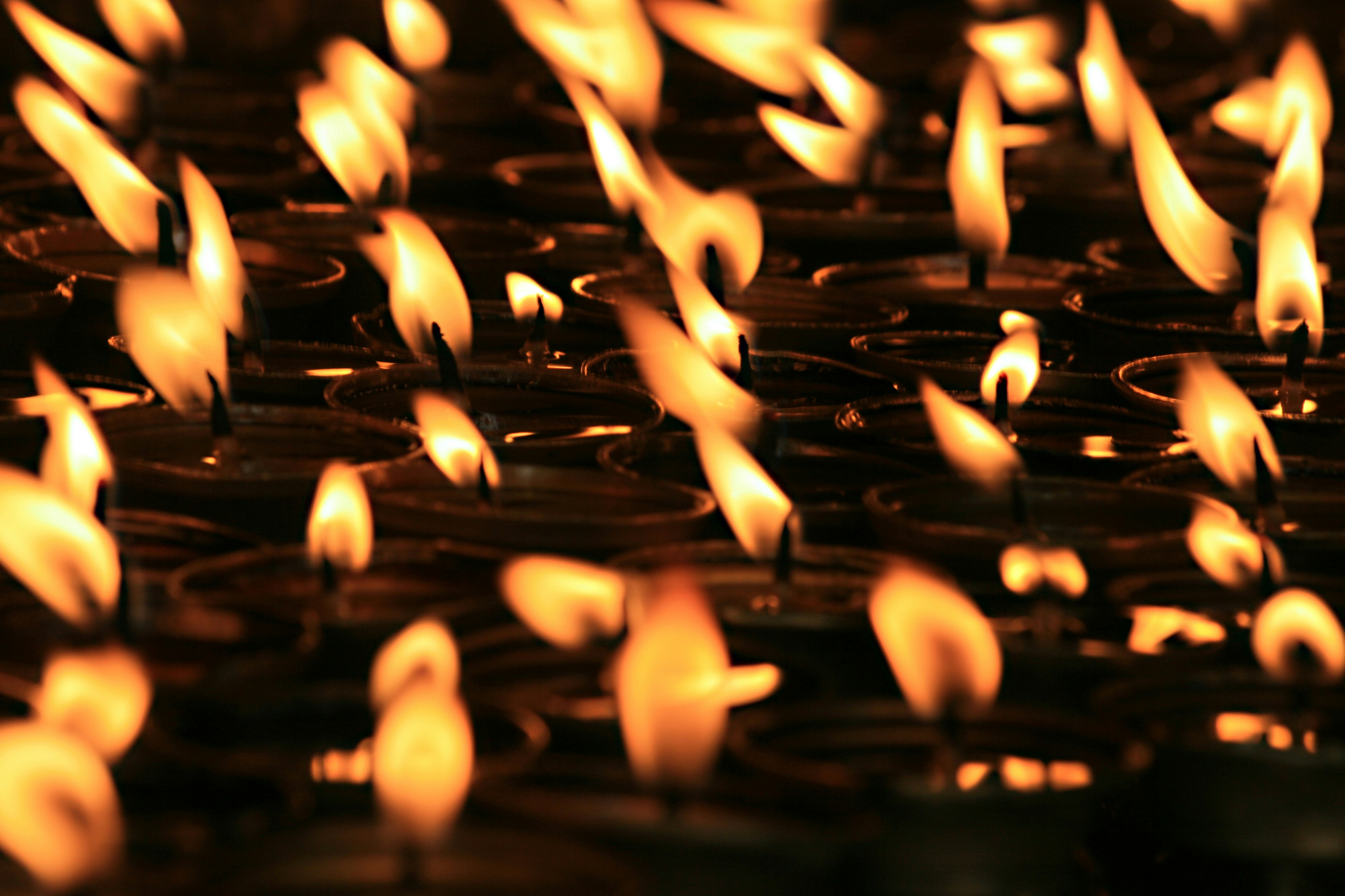 Free Unsplash photo from Kees Kortmulder