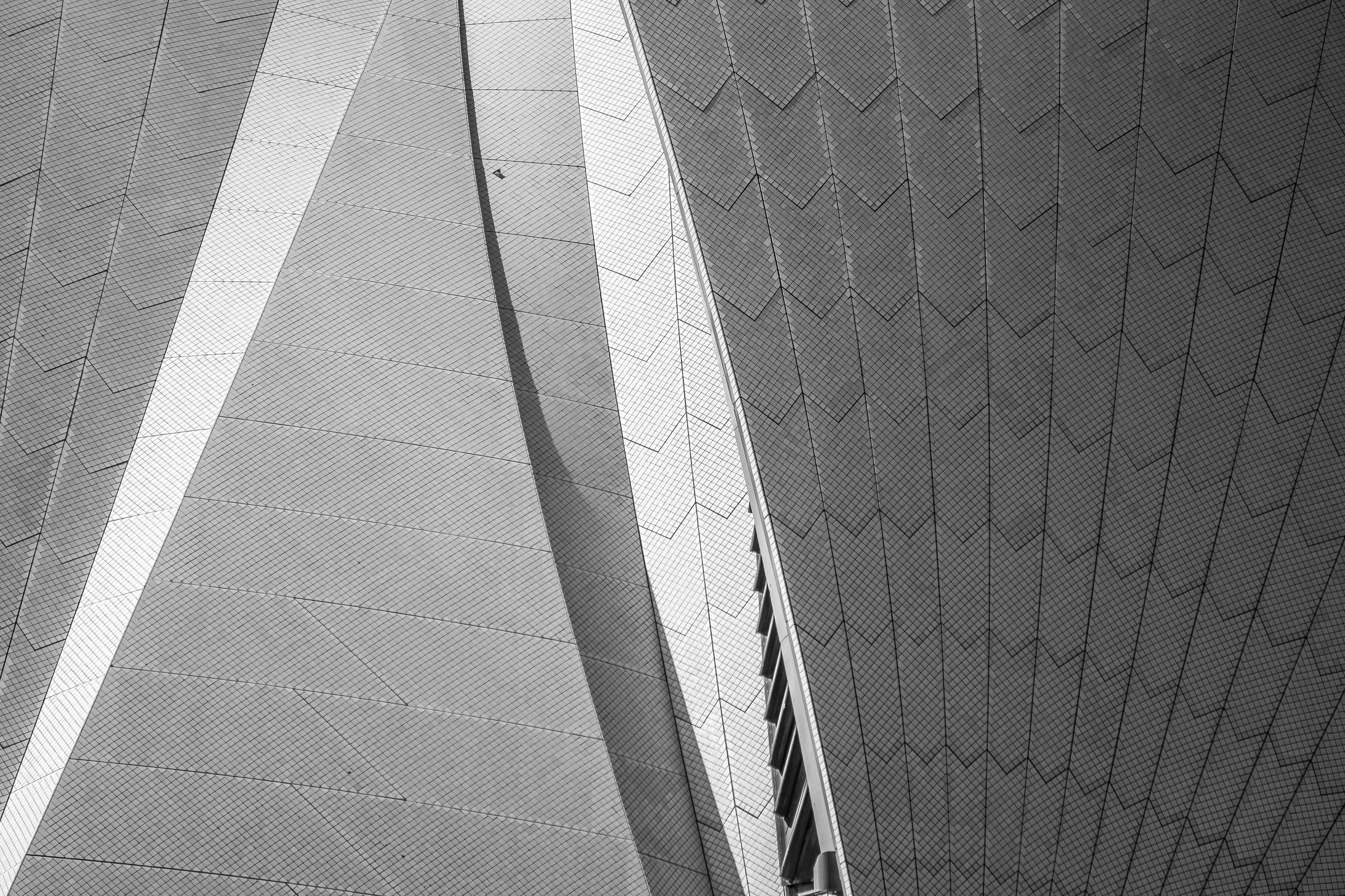 Free Unsplash photo from Samuel Scrimshaw