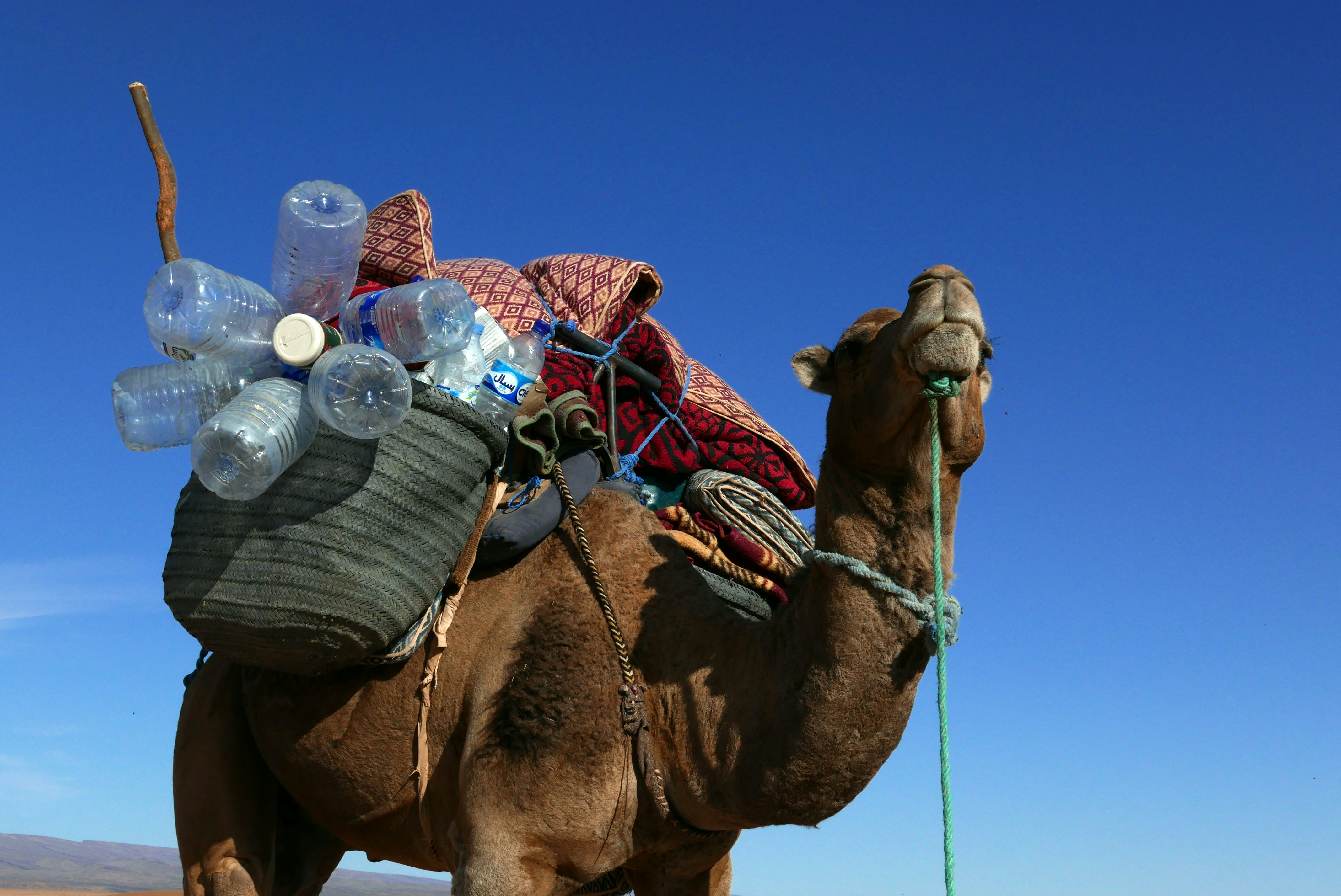 Free Unsplash photo from Kees Kortmulder