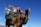 A camel stands against a clear blue sky, carrying a load consisting of colorful woven blankets and several plastic water bottles secured on its back. The animal holds a green rope in its mouth.