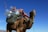 A camel stands against a clear blue sky, carrying a load consisting of colorful woven blankets and several plastic water bottles secured on its back. The animal holds a green rope in its mouth.