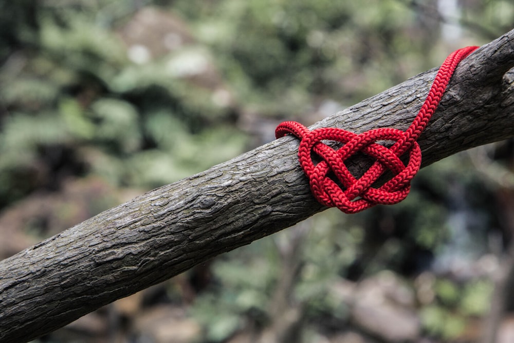 corde rouge sur trois branches