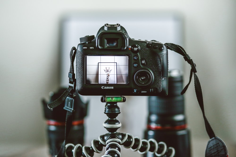 black Canon SLR camera attached on gorillapod