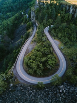 horseshoe road surrounded with tall trees