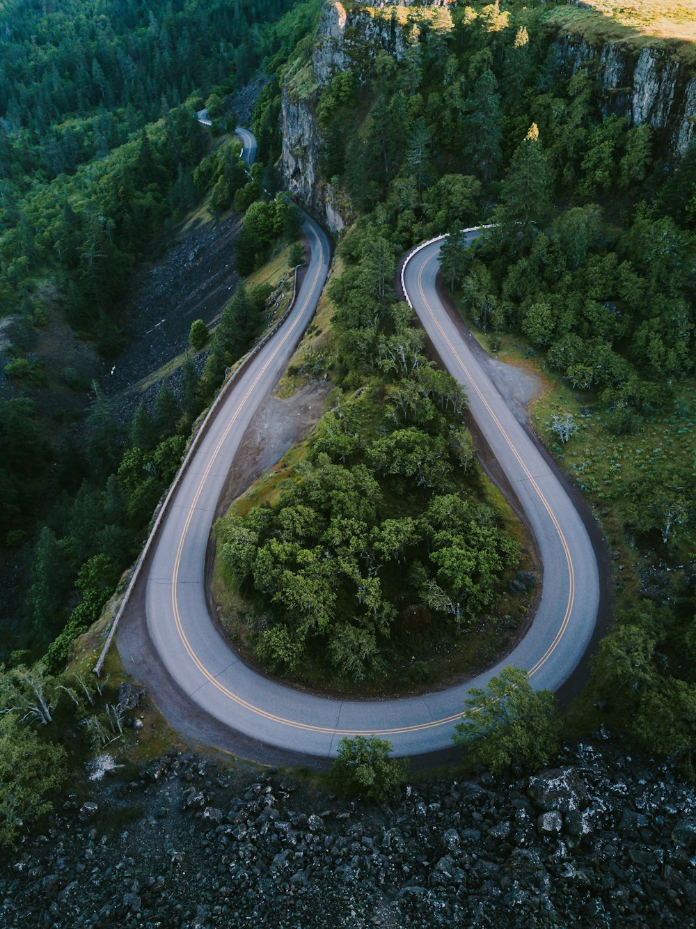 horseshoe road surrounded with tall trees