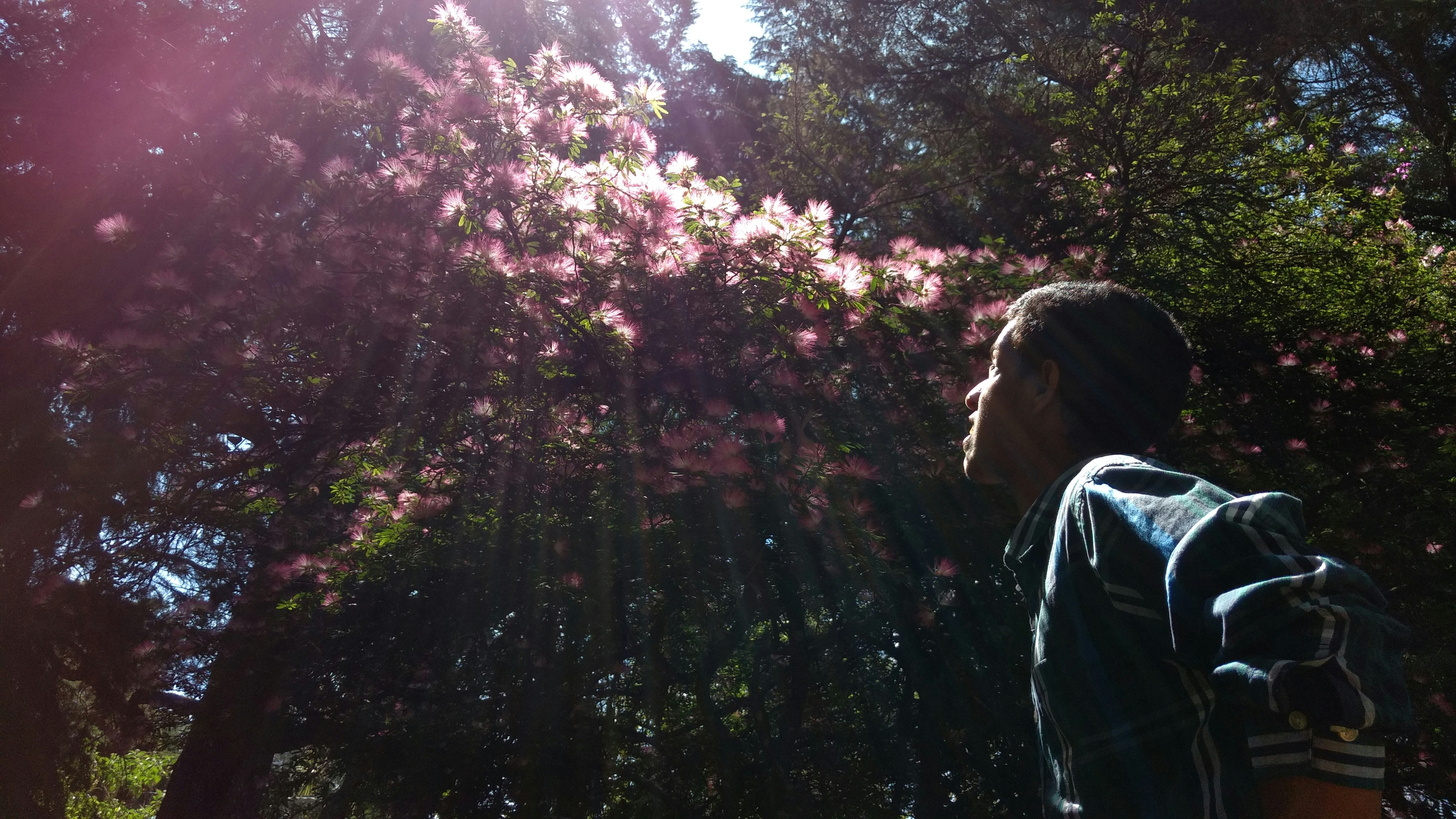 Free Unsplash photo from Prabath Meemaduma