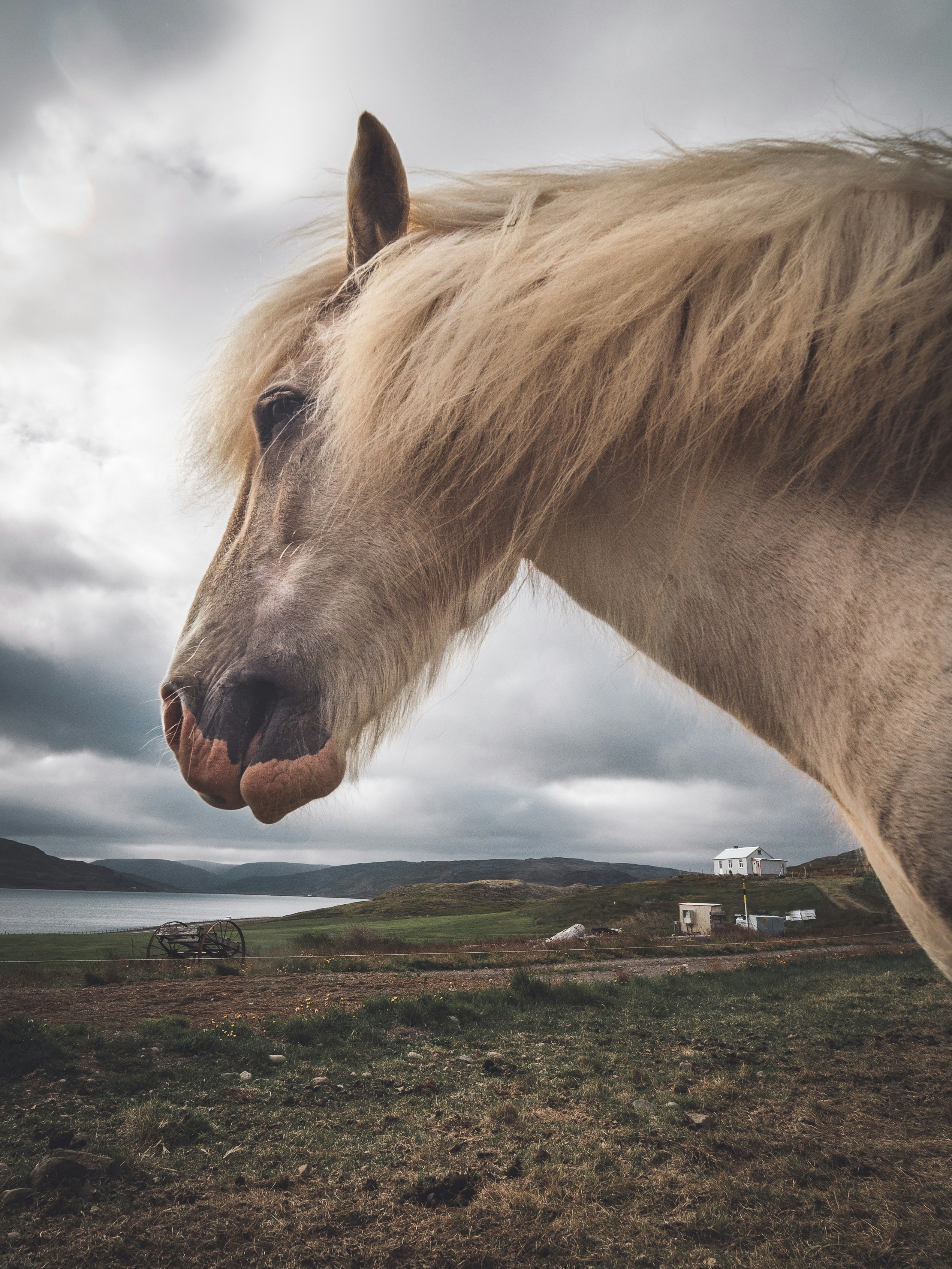 Free Unsplash photo from John Salvino