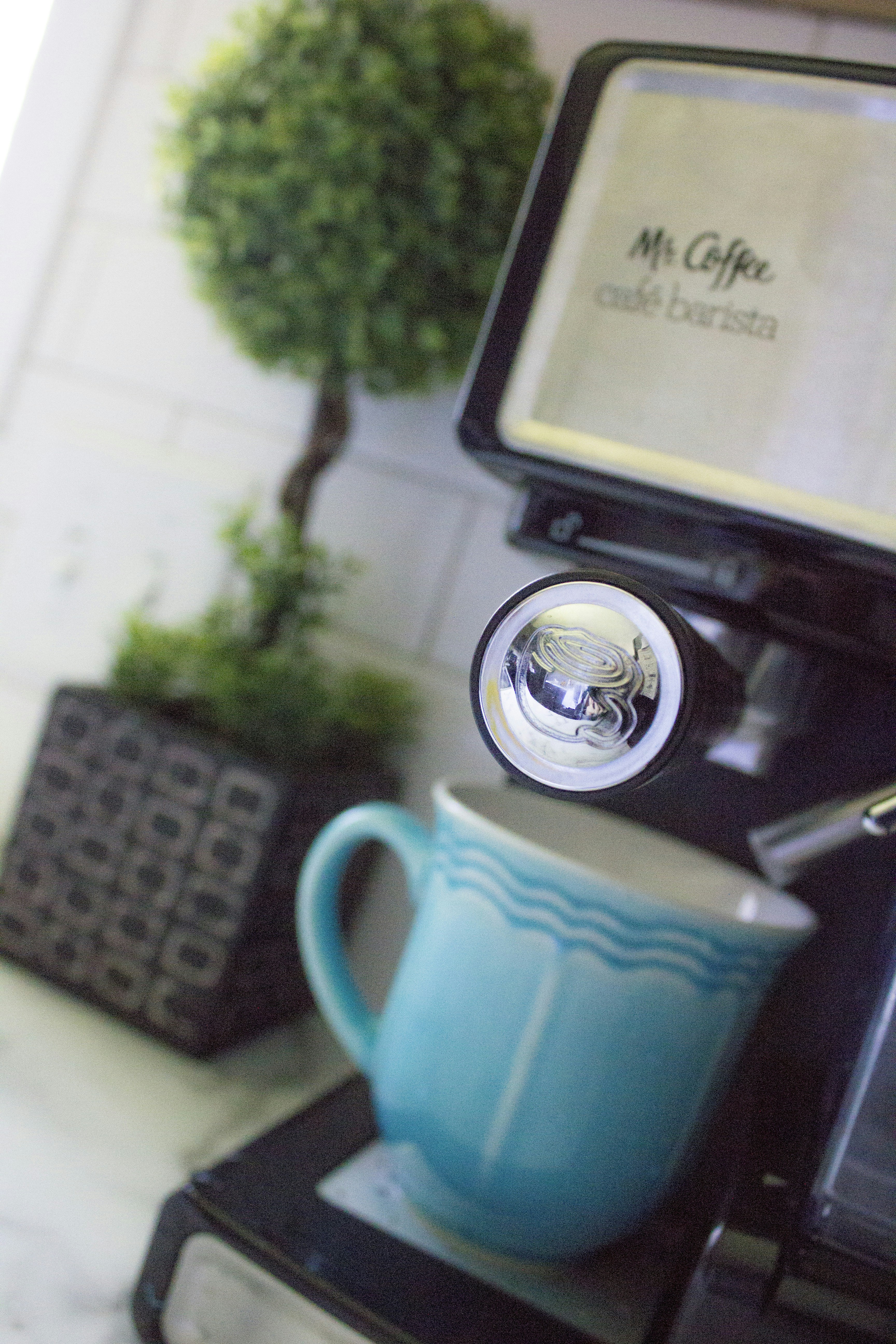 Free Unsplash photo from Courtney Prather