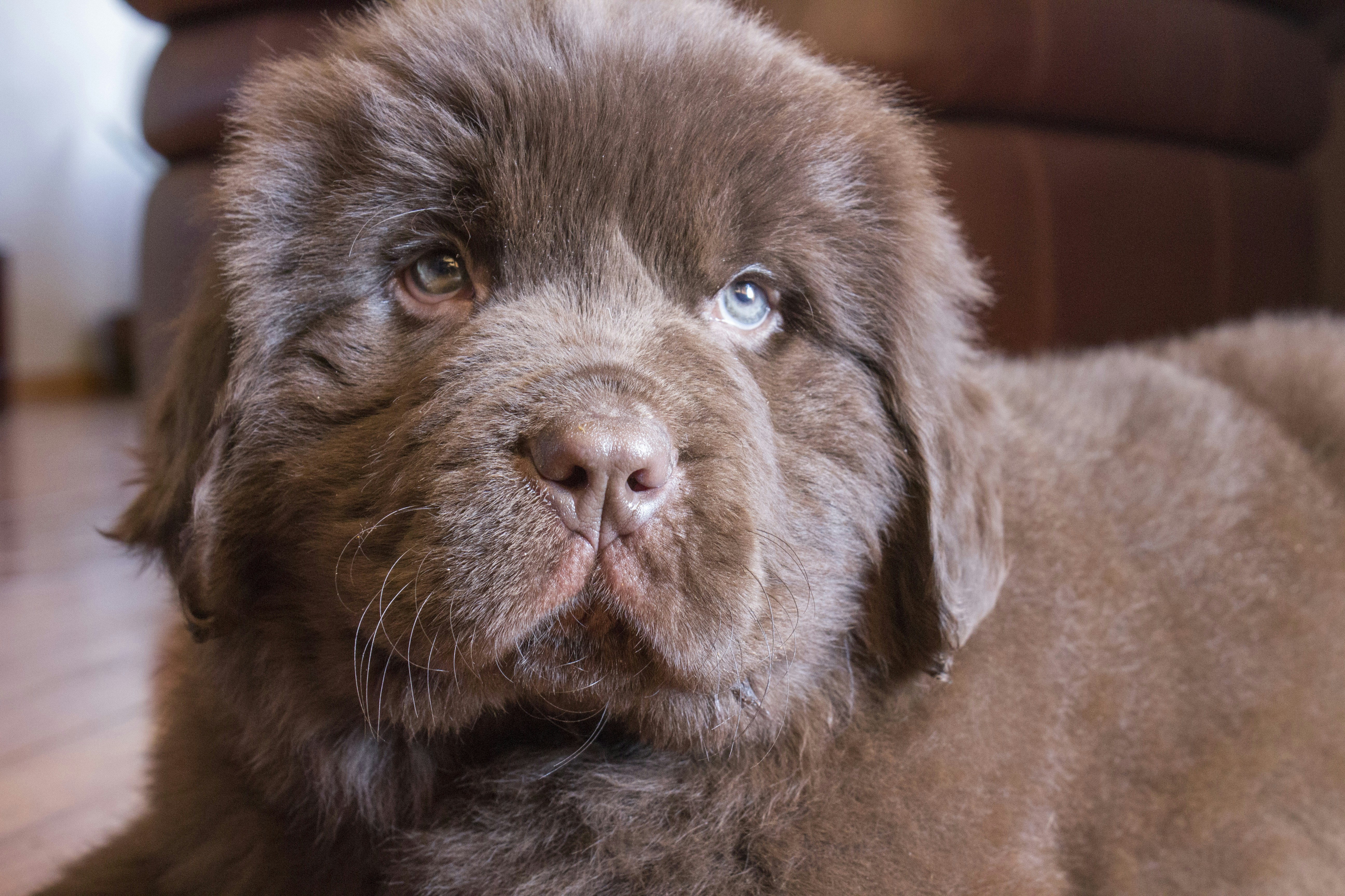 Free Unsplash photo from Courtney Prather