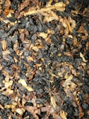 A close-up view of a mixture of dark and light brown dried leaves, possibly tobacco or a similar organic material. The leaves are finely shredded and layered on top of each other, creating a textured and chaotic arrangement.