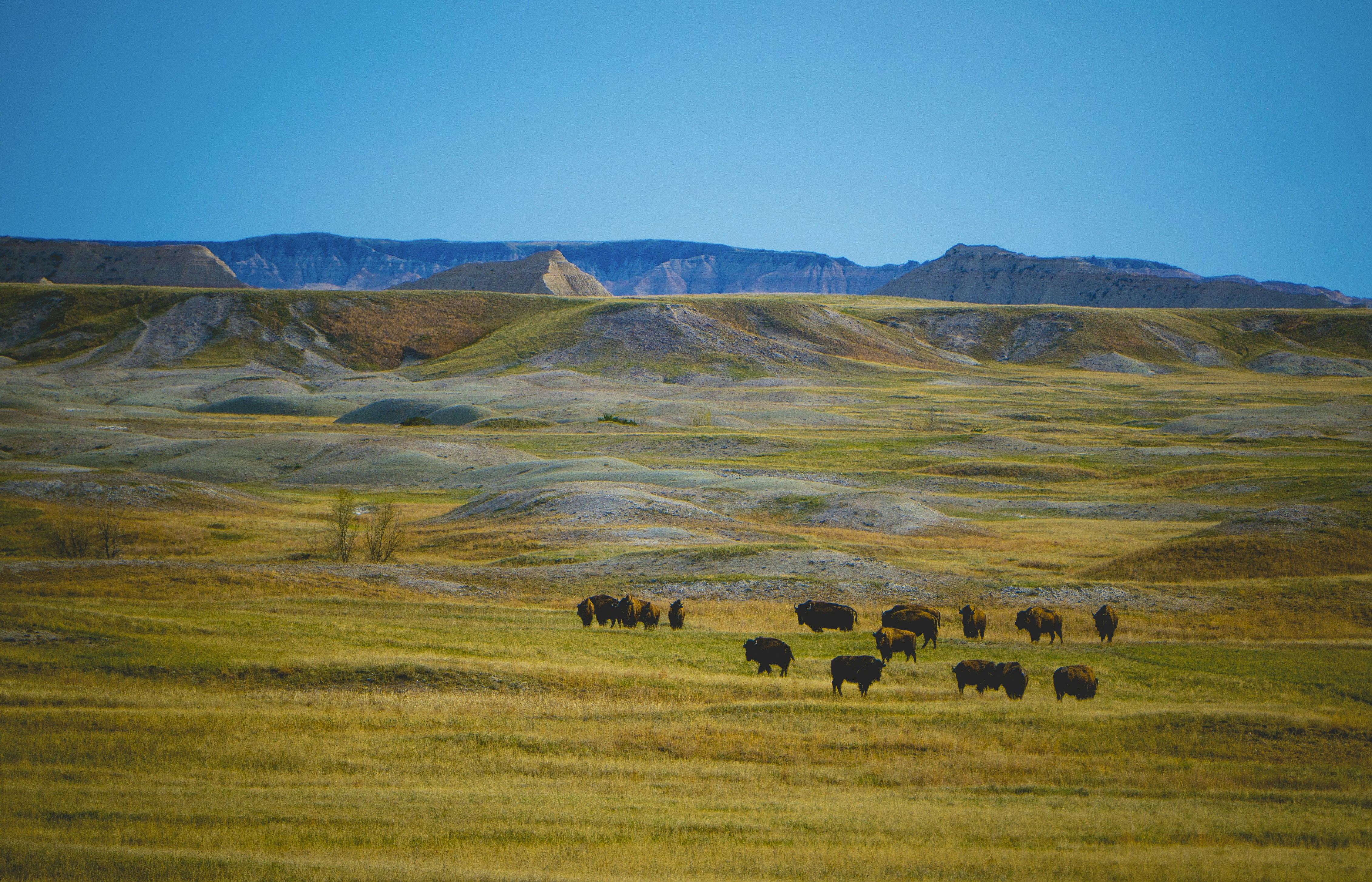 Free Unsplash photo from Ian Kpachavi