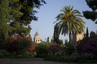 A lush garden scene with a variety of trees and plants, including a prominent palm tree. In the background, a bell tower or church steeple rises above the greenery, creating a picturesque view.