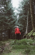 Close-up of a person zipping up a sleek Ryvo jacket amidst forest scenery.