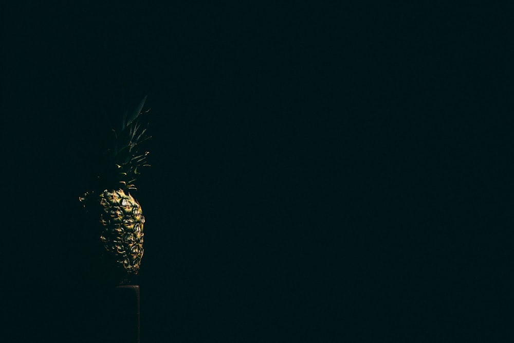 yellow and green pineapple