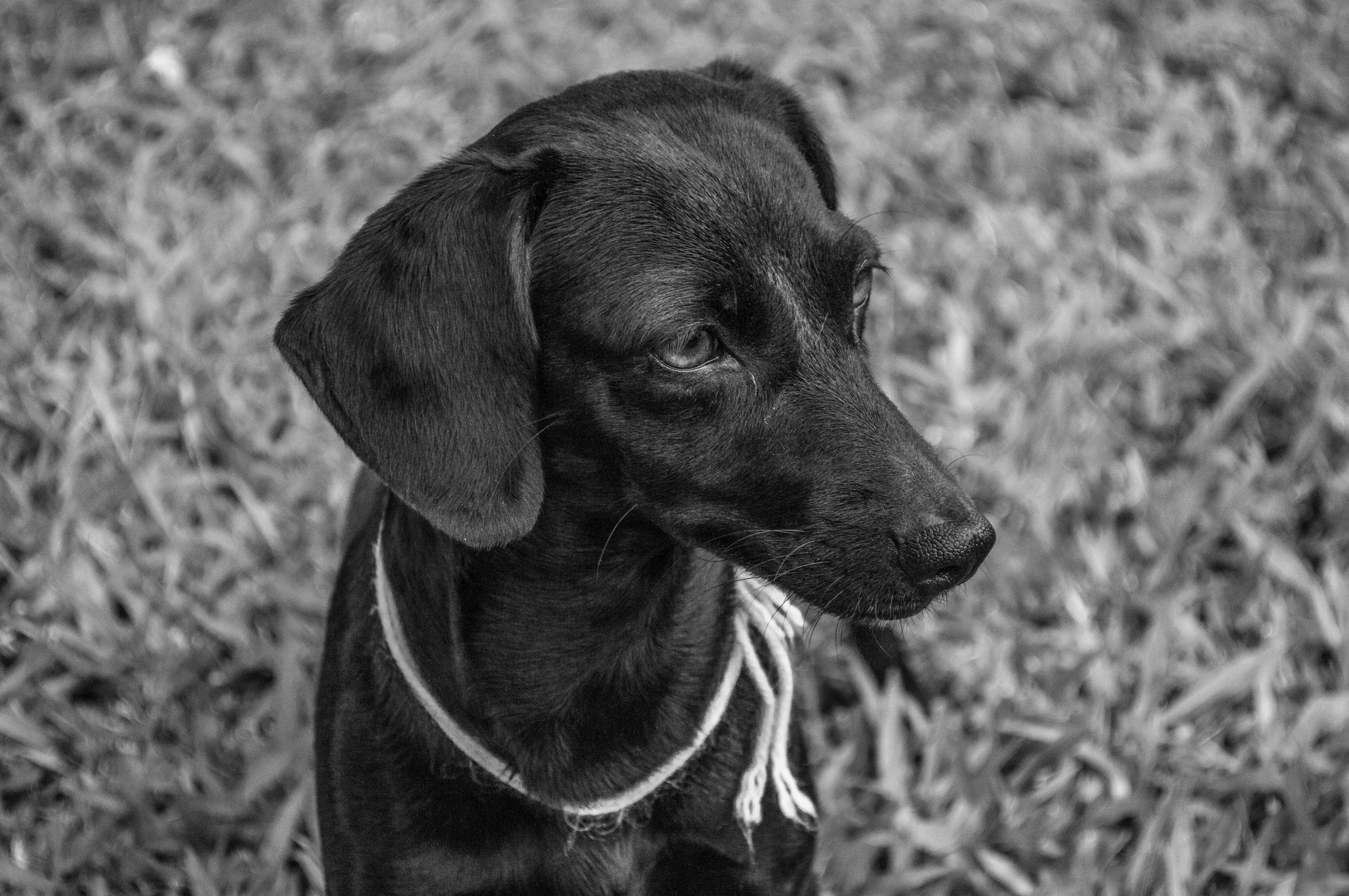 Free Unsplash photo from Ariel Schmunck