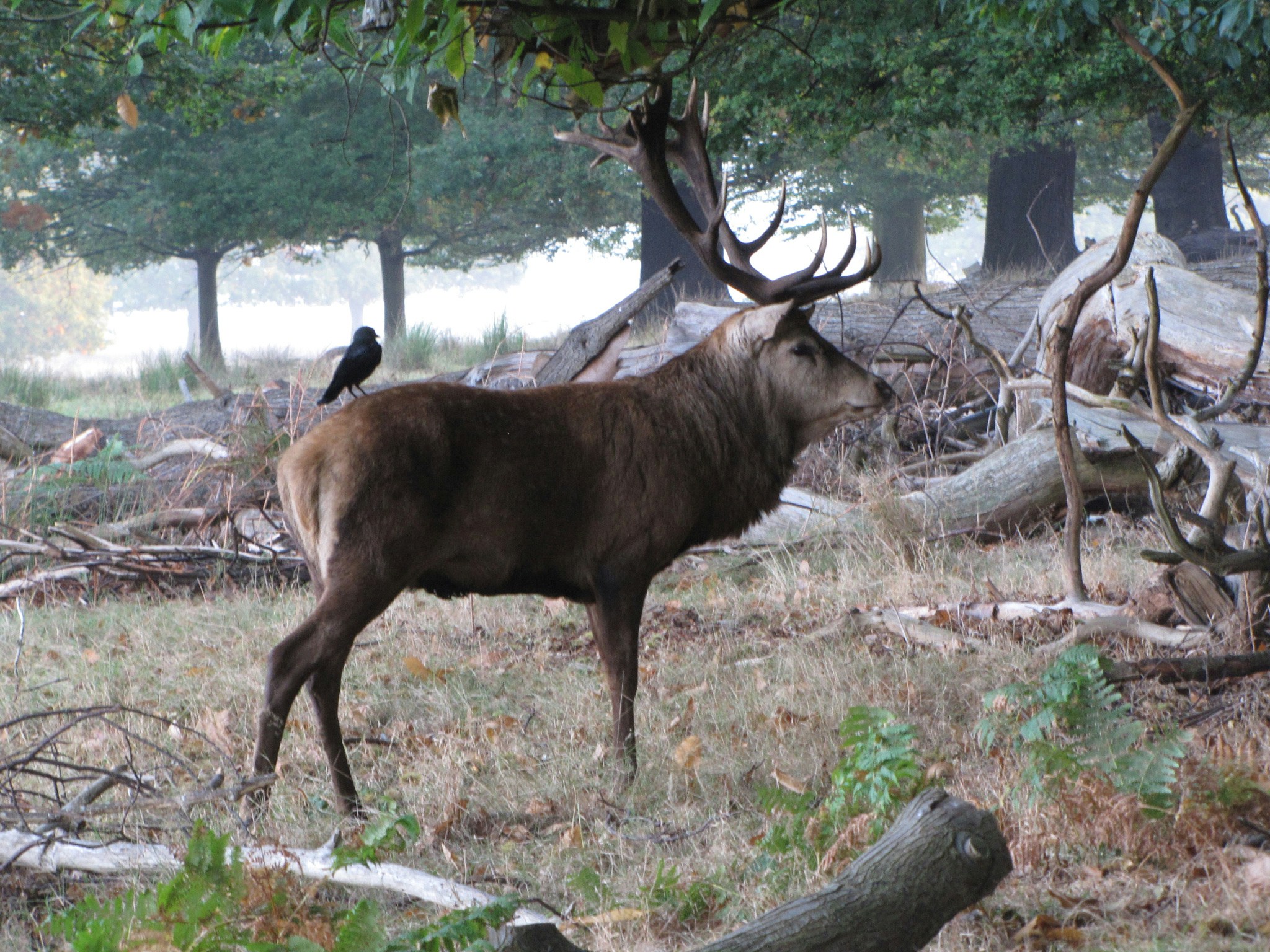 Free Unsplash photo from Ian Muir