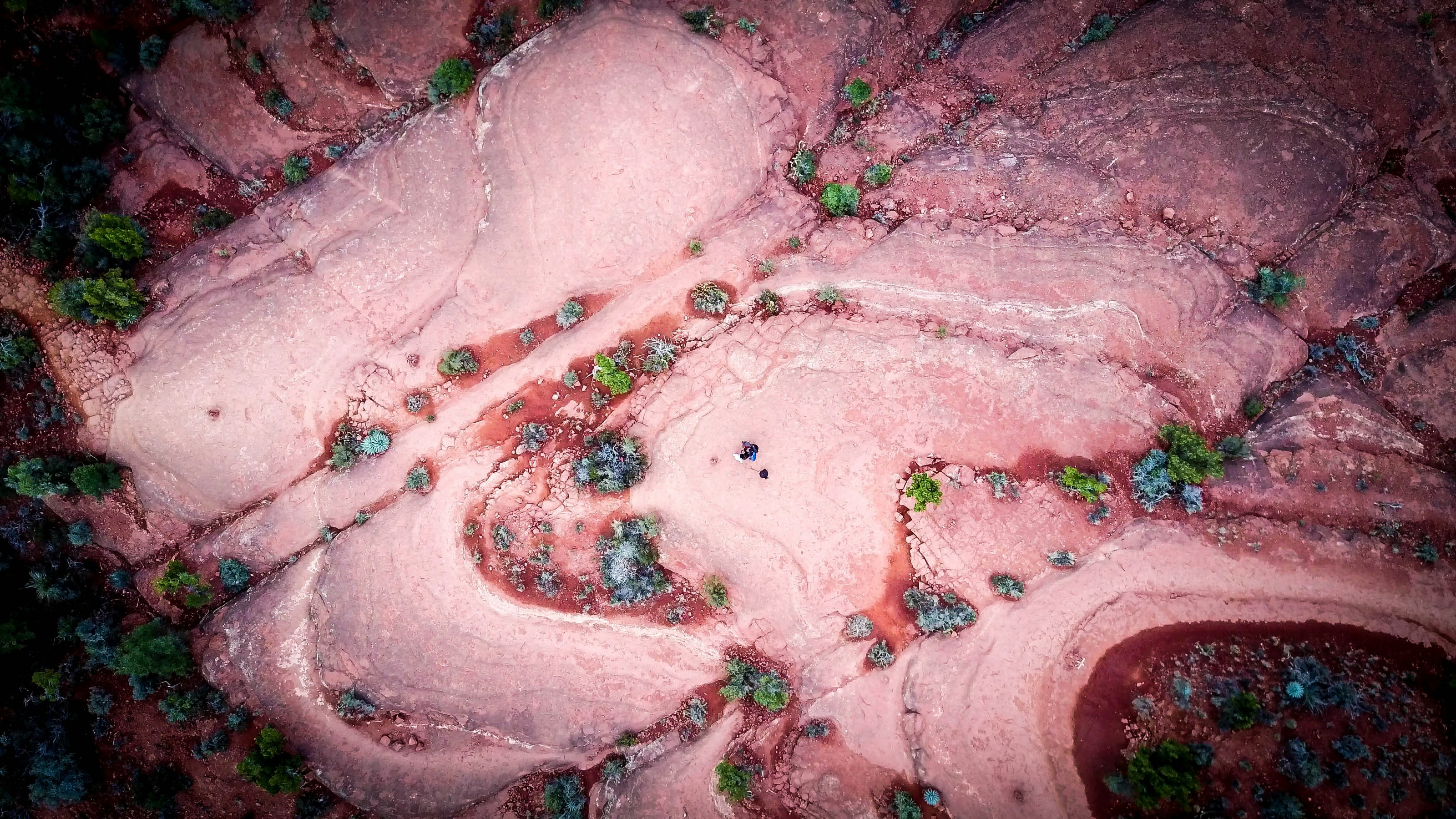 지방세포가 에너지를 저장하는 방법