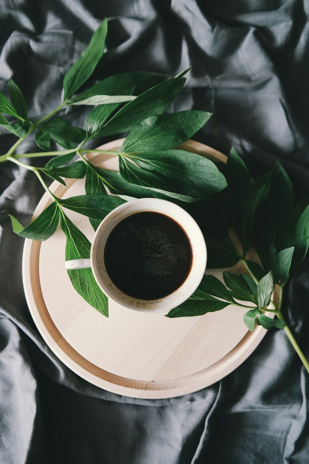 white ceramic mug beside green leaves