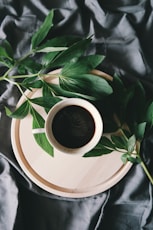 white ceramic mug beside green leaves