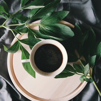 white ceramic mug beside green leaves