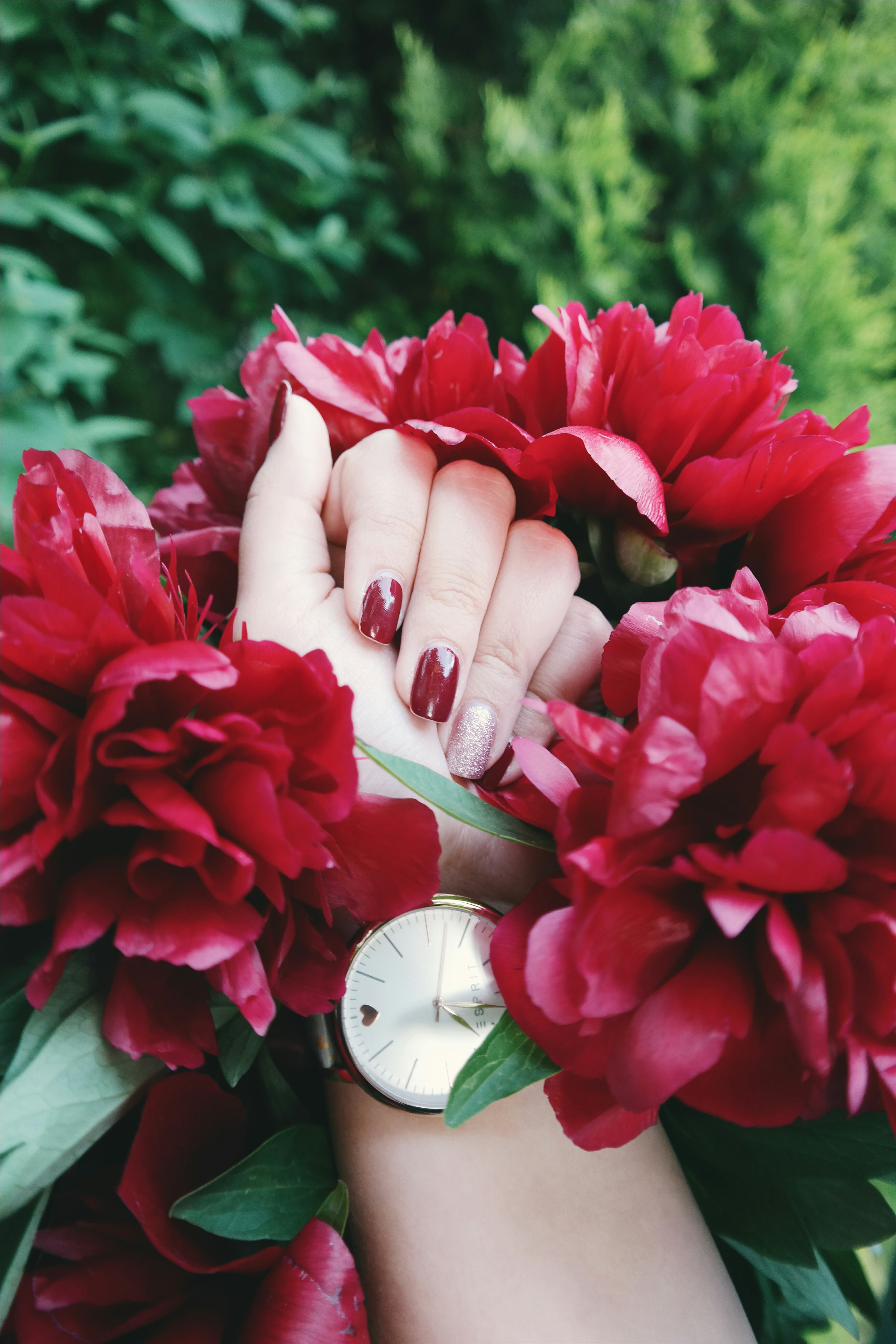 Free Unsplash photo from Brigitte Tohm