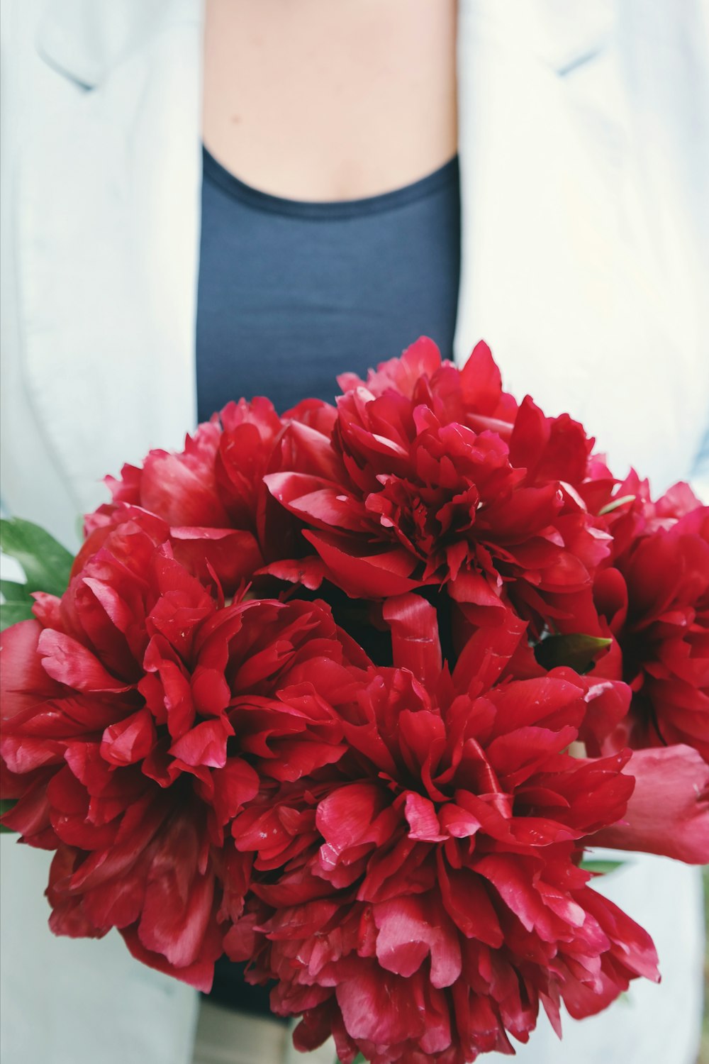 bouquet de fleurs rouges
