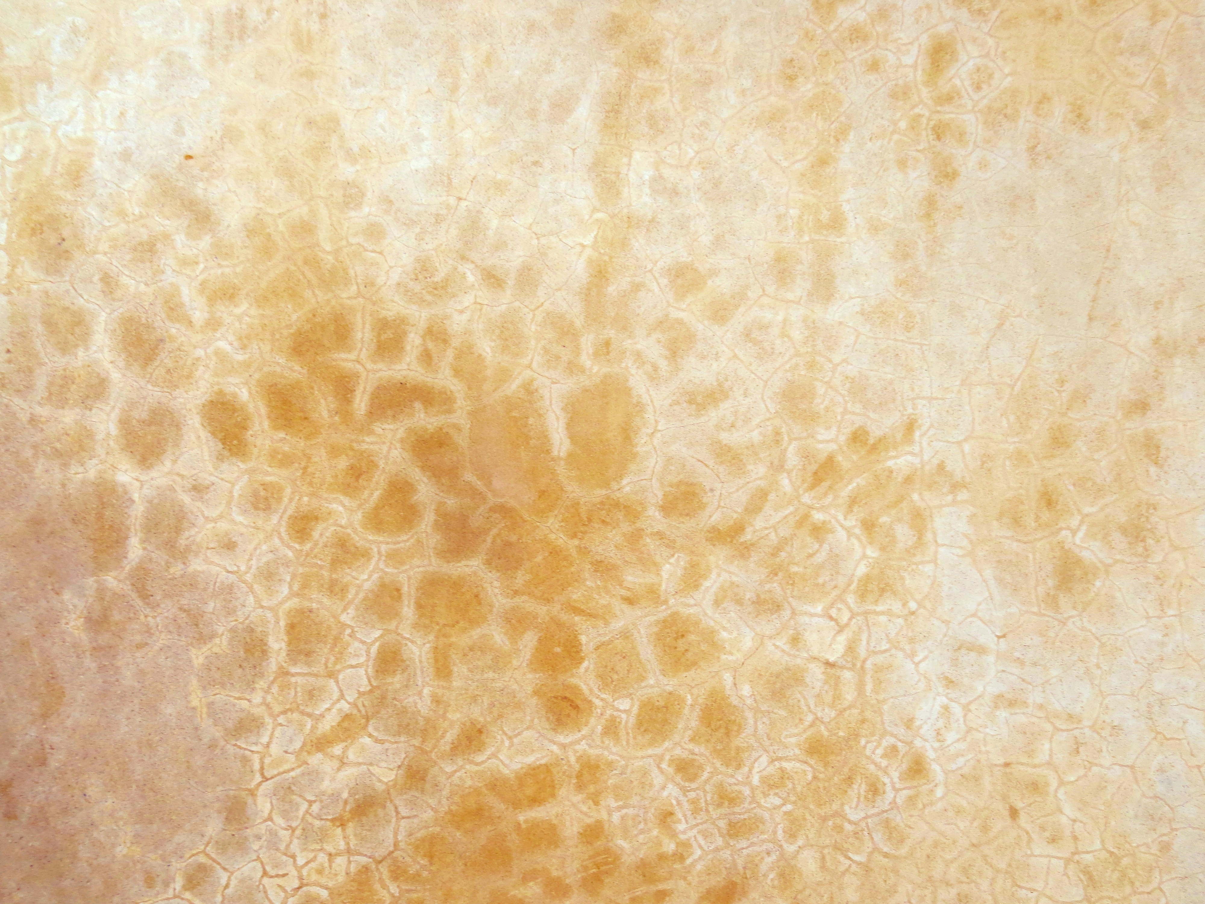 Free Unsplash photo from Kurt Ebbers