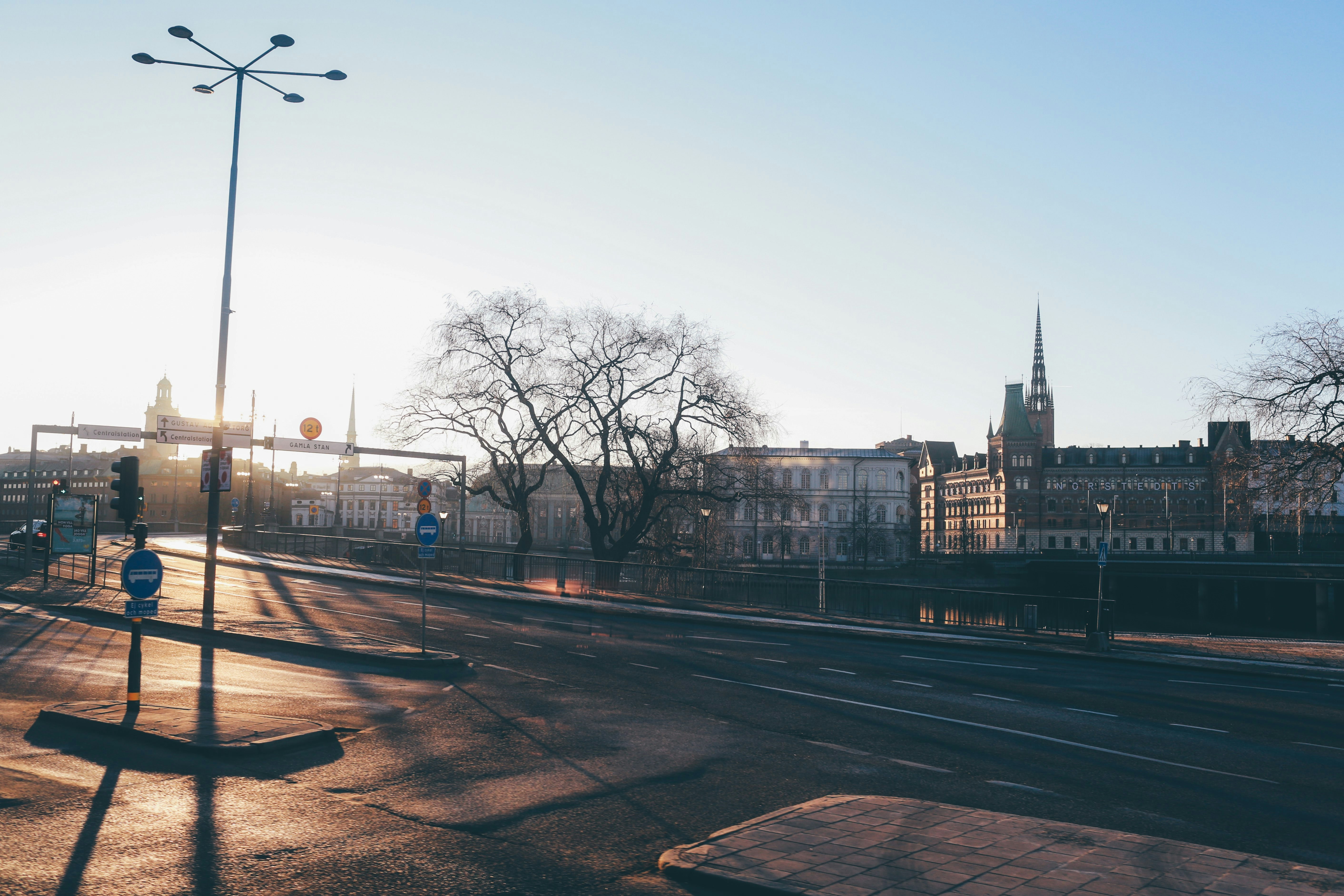 Free Unsplash photo from fox jia