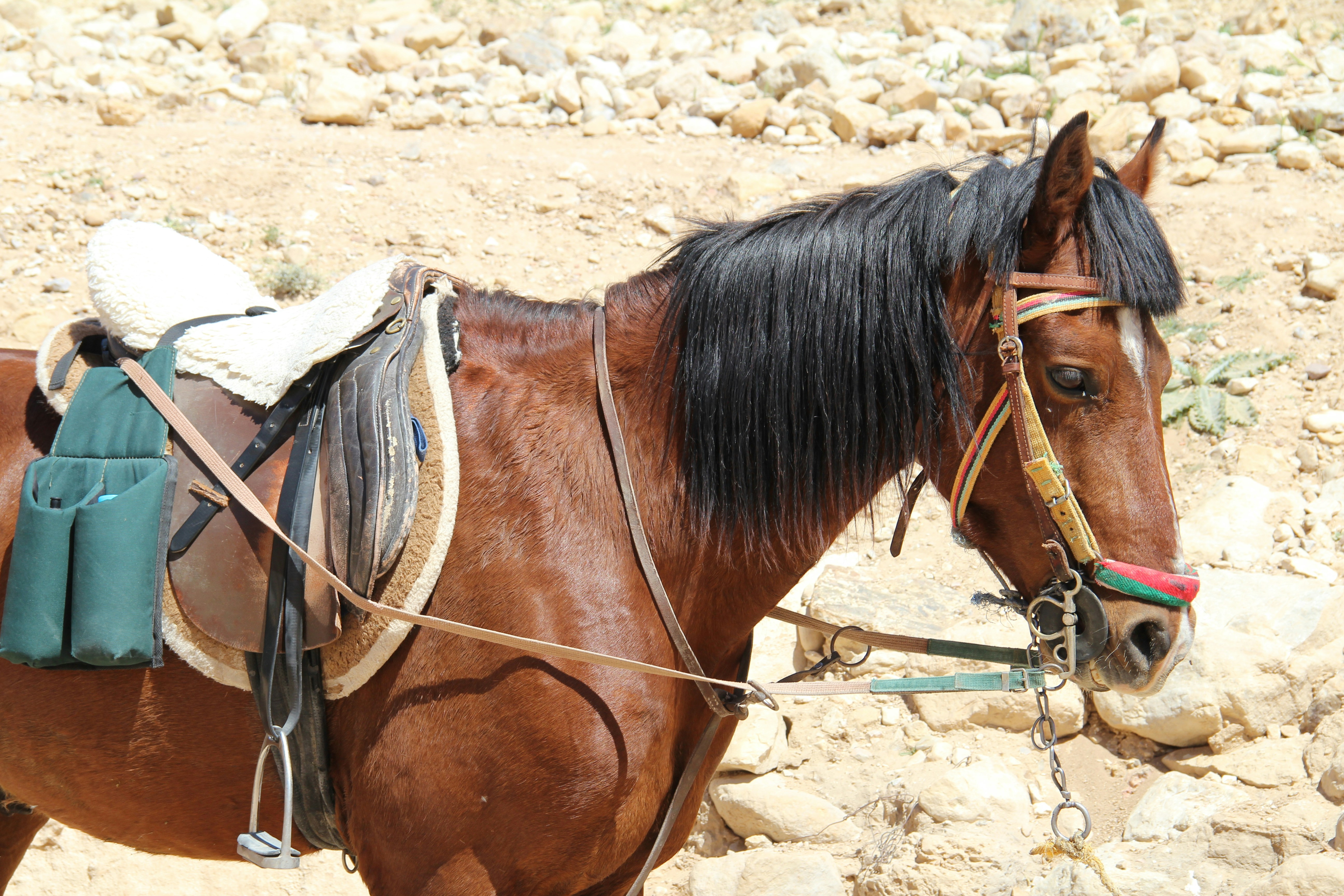 Free Unsplash photo from Hussein Tirawi