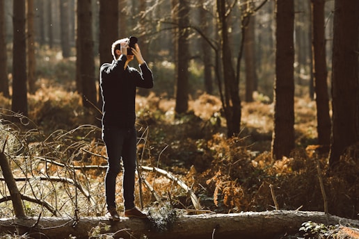 A person is standing on a fallen tree trunk in a dense forest, using a camera to take photographs. Sunlight filters through the trees, creating a warm and serene atmosphere with dappled light on the forest floor.
