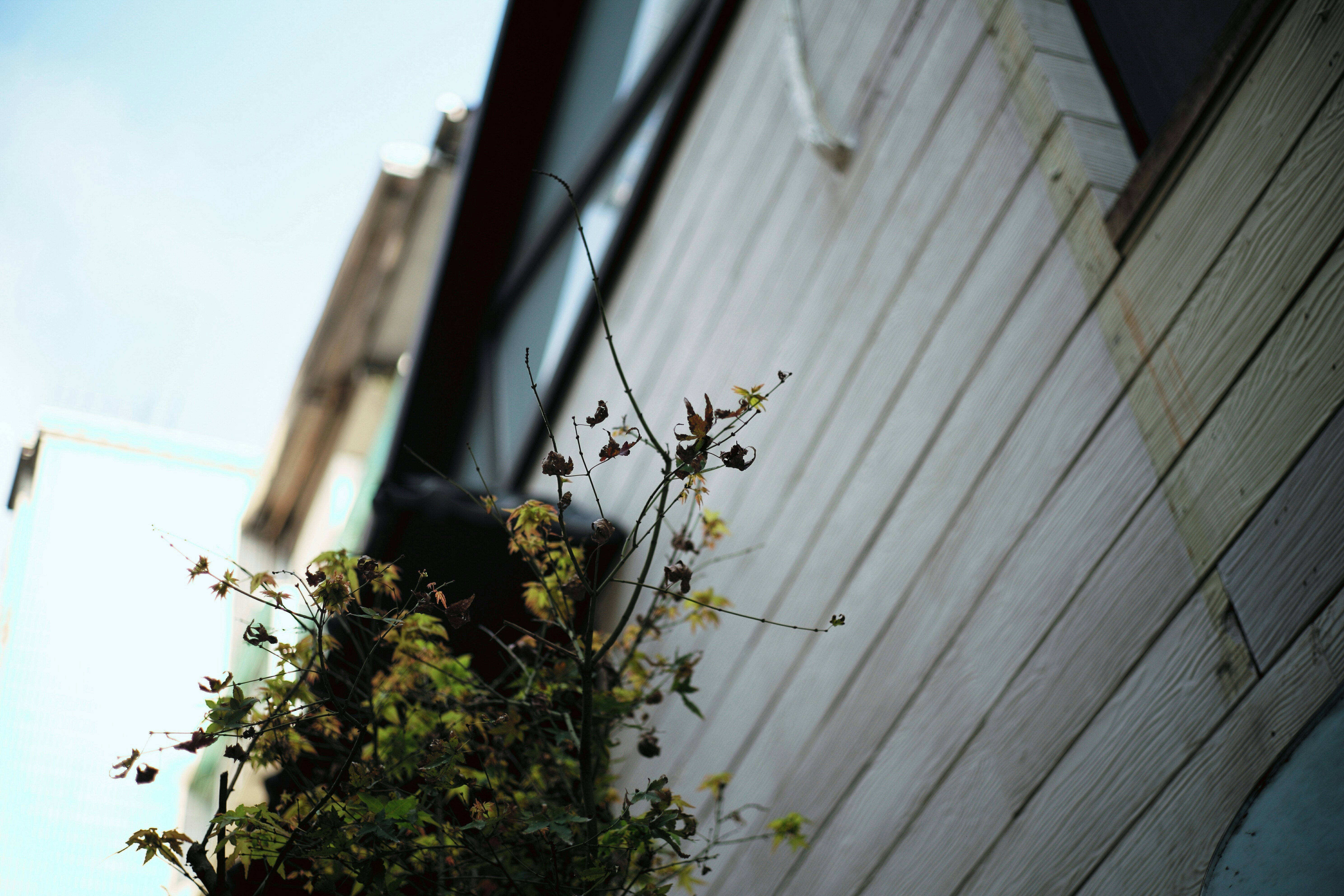 Free Unsplash photo from Cater Yang