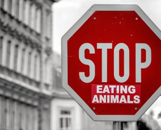 selective color of Stop eating animals signage