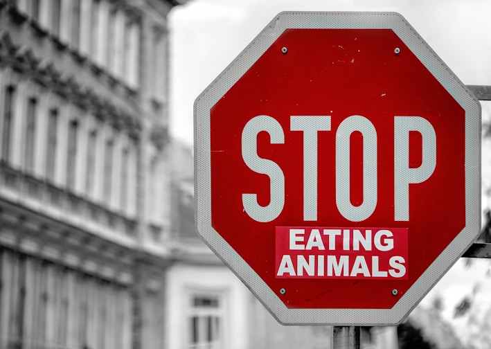 selective color of Stop eating animals signage