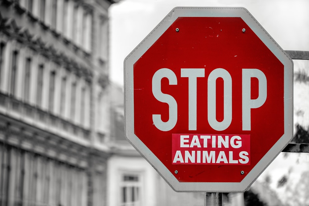 selective color of Stop eating animals signage