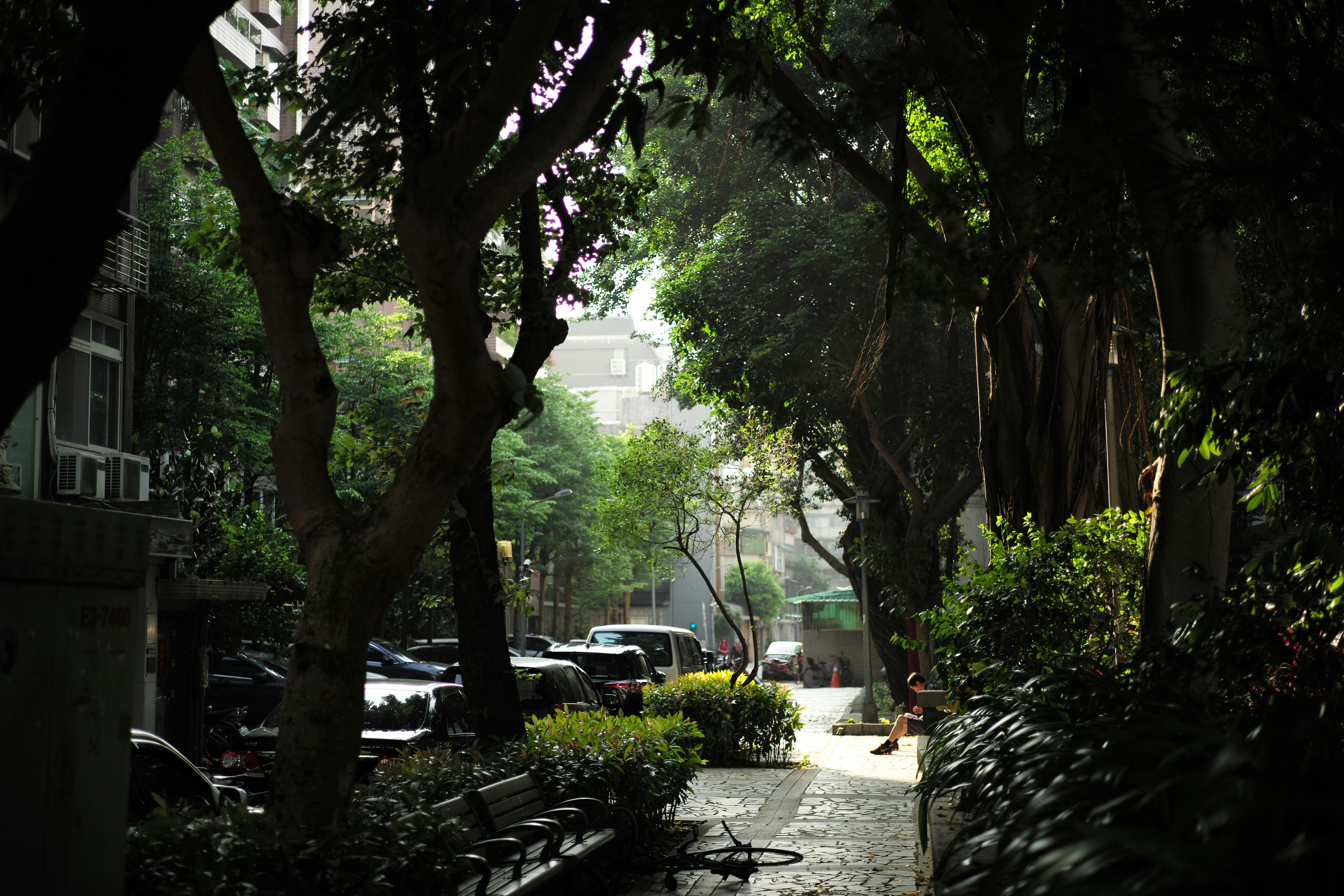 Free Unsplash photo from Cater Yang