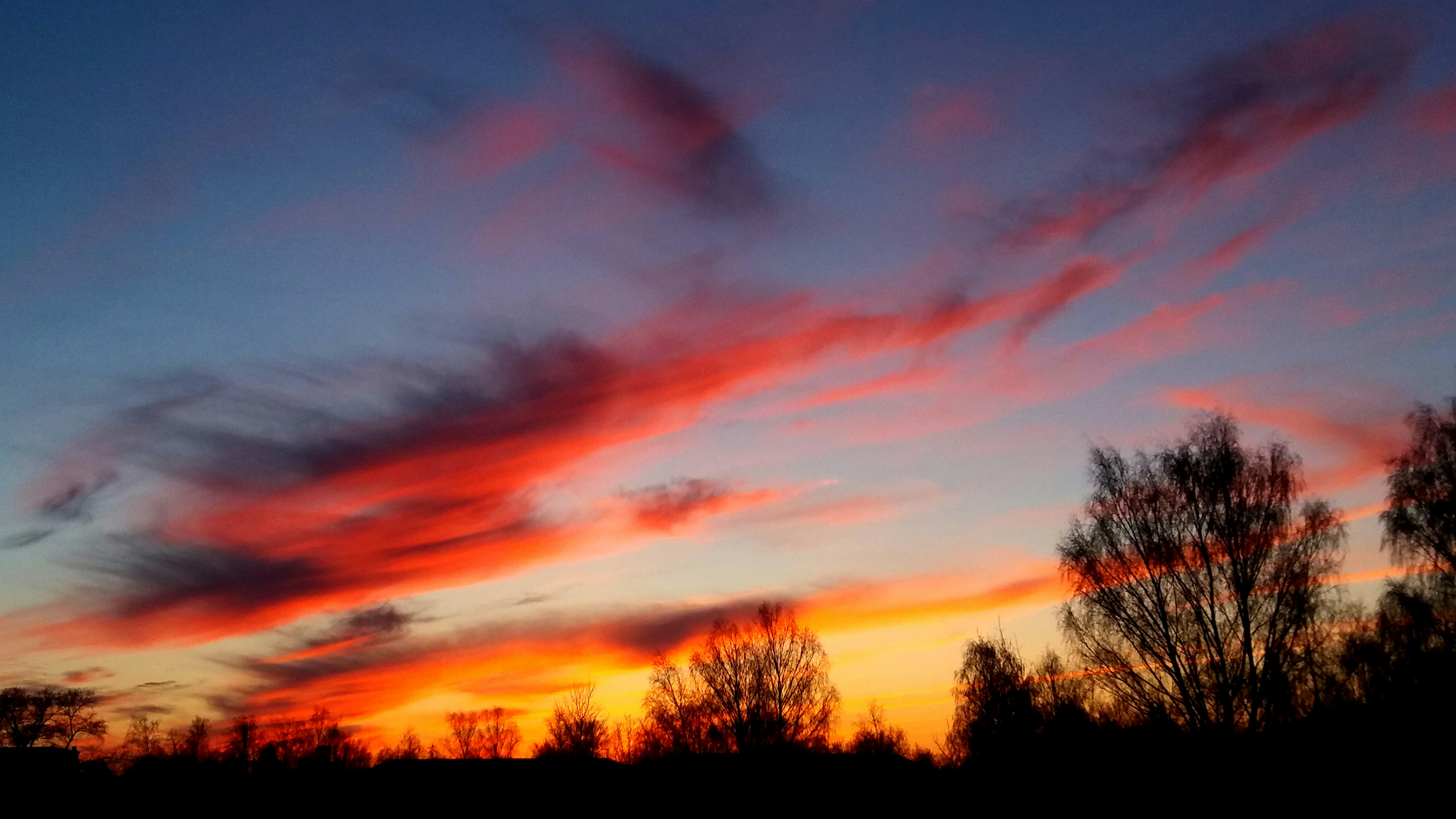 Free Unsplash photo from Inna Karpoff