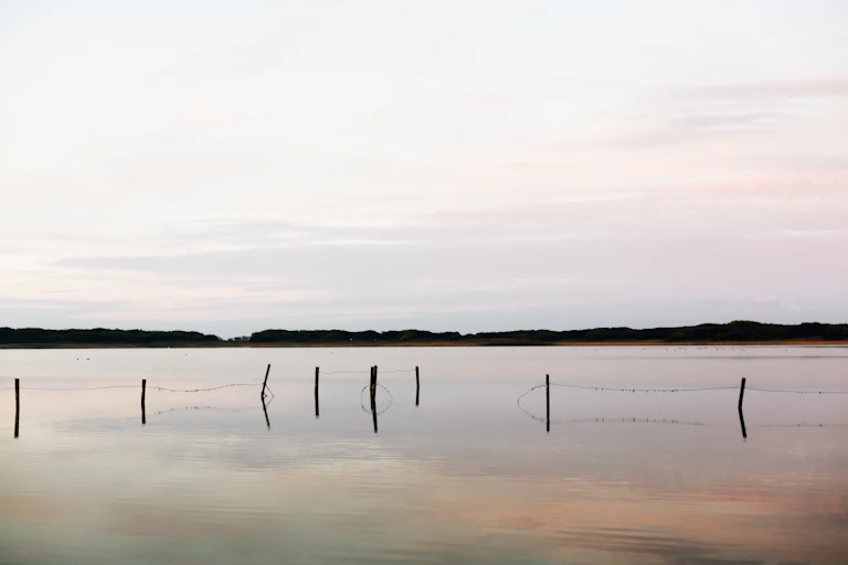 Scientists Say Mindfulness Gives Young People a Small but Real Boost