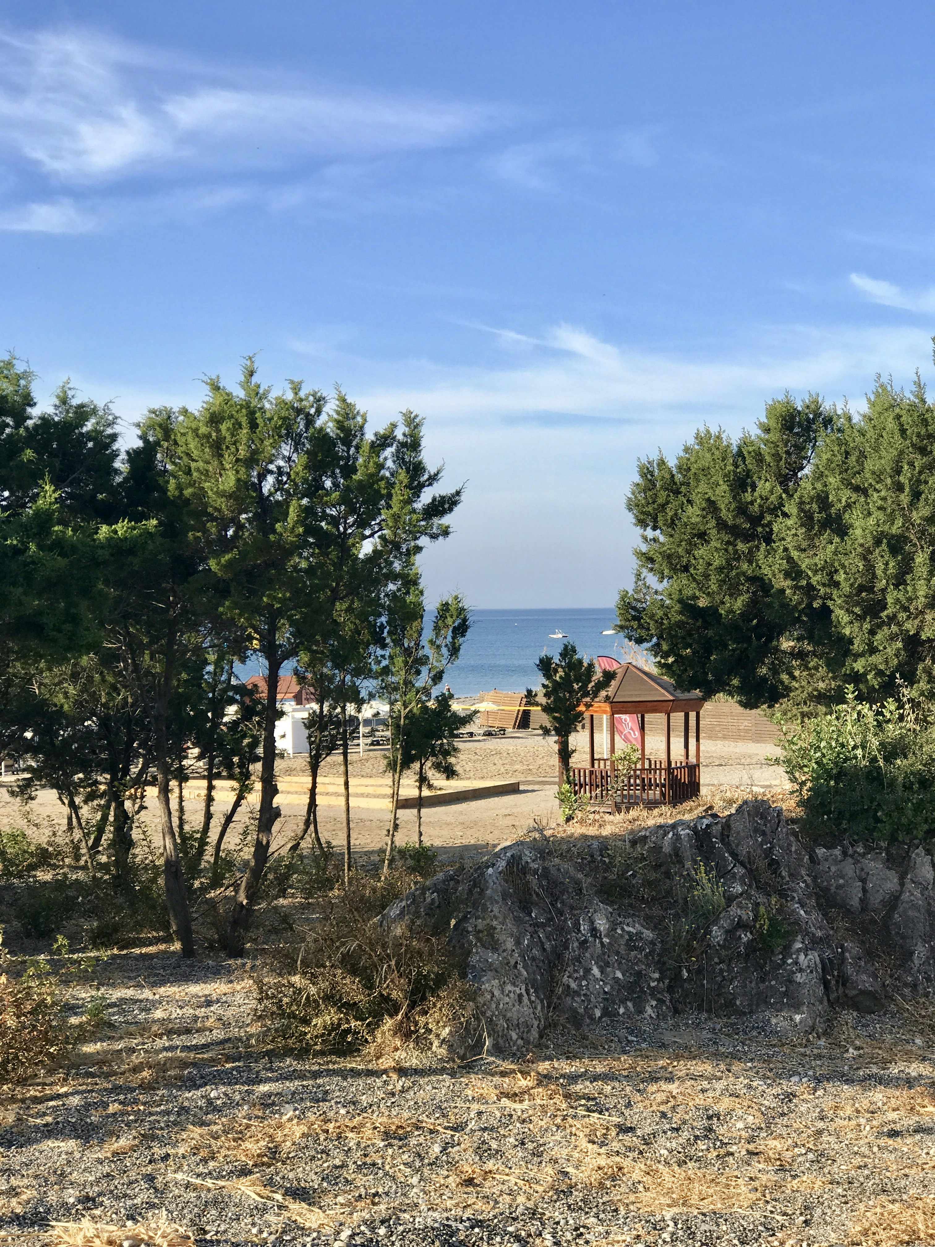 Free Unsplash photo from Femmie Lodewijk