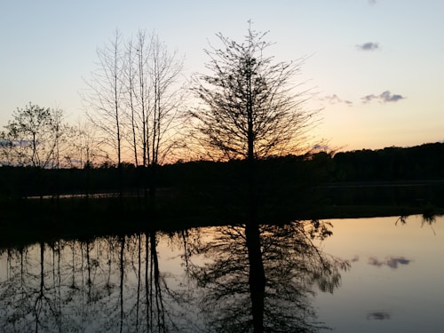 The image depicts a tranquil lakeside scene at sunset, with silhouettes of trees and their reflections in the still water. The sky transitions from a gentle blue to shades of orange and pink at the horizon, creating a serene atmosphere.