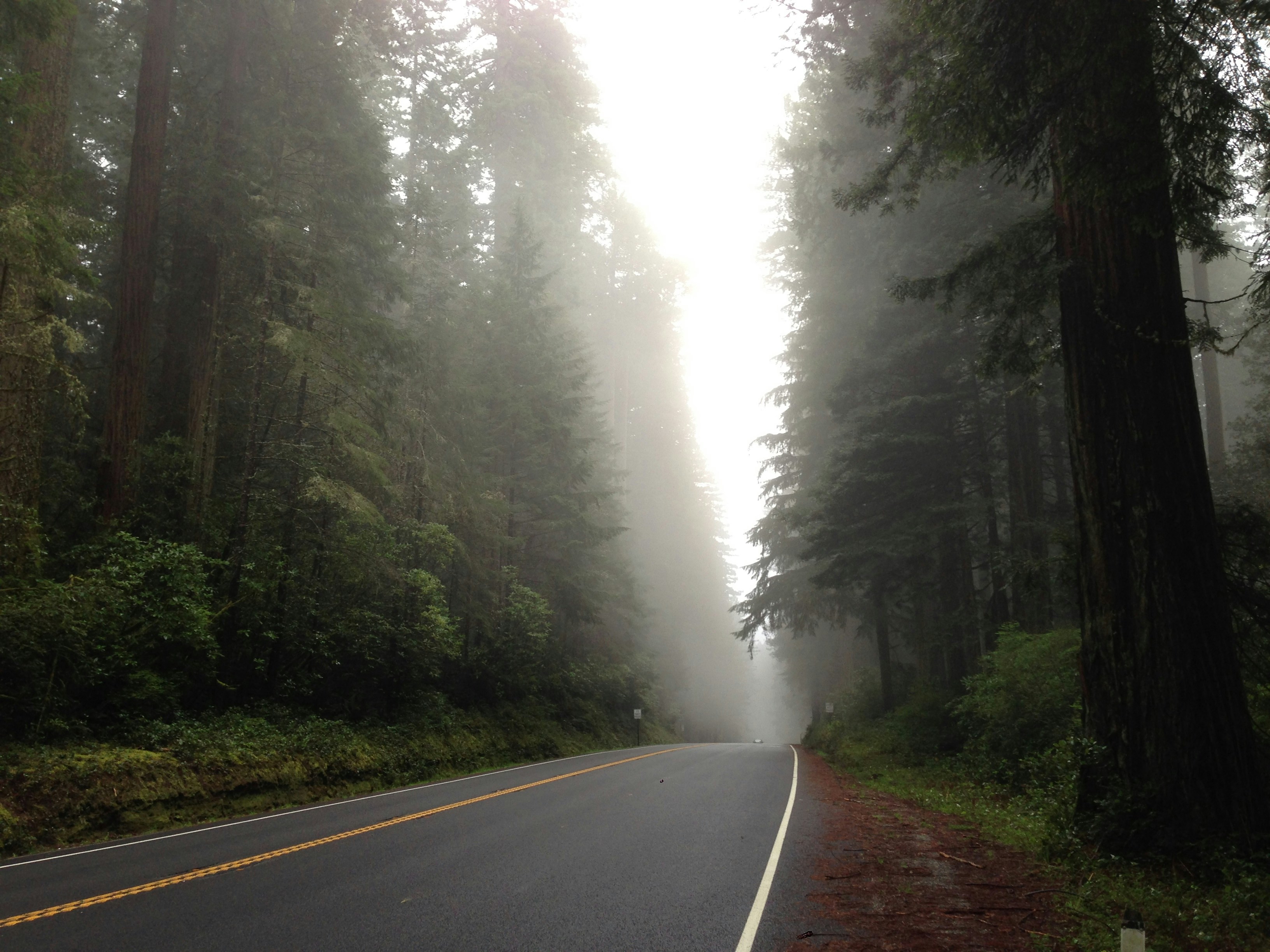 Free Unsplash photo from Jamey Meirndorf