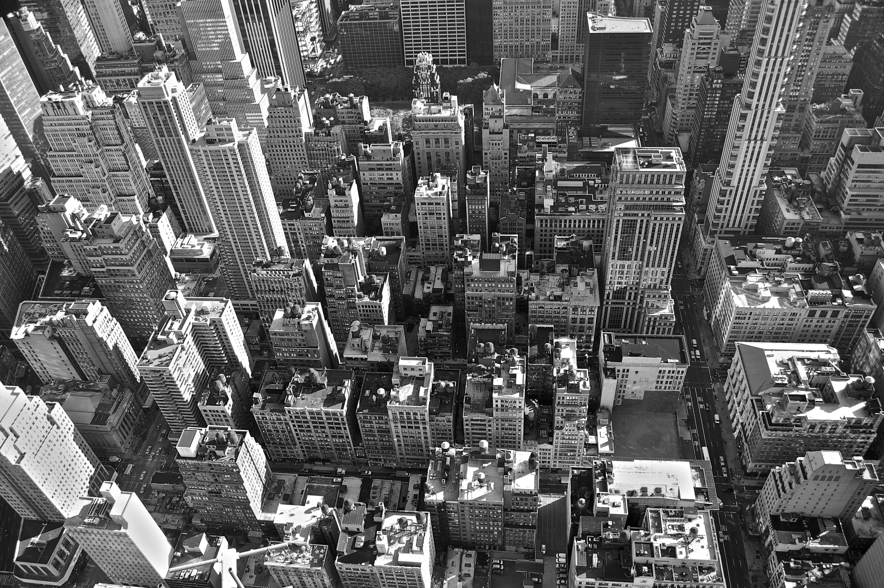 Free Unsplash photo from Tony Mattson