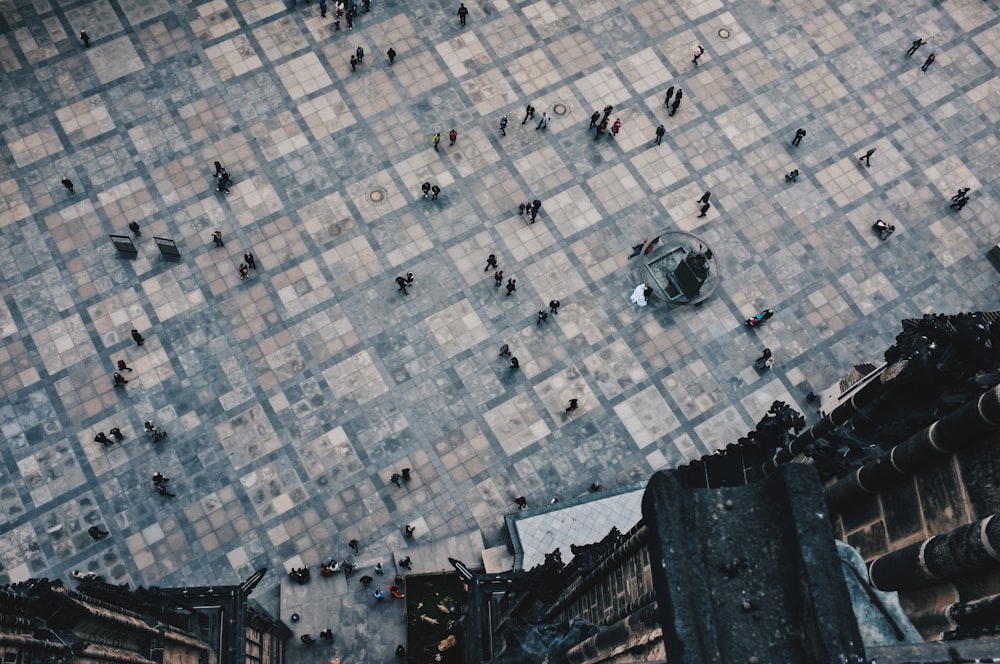 top view of ground during daytime