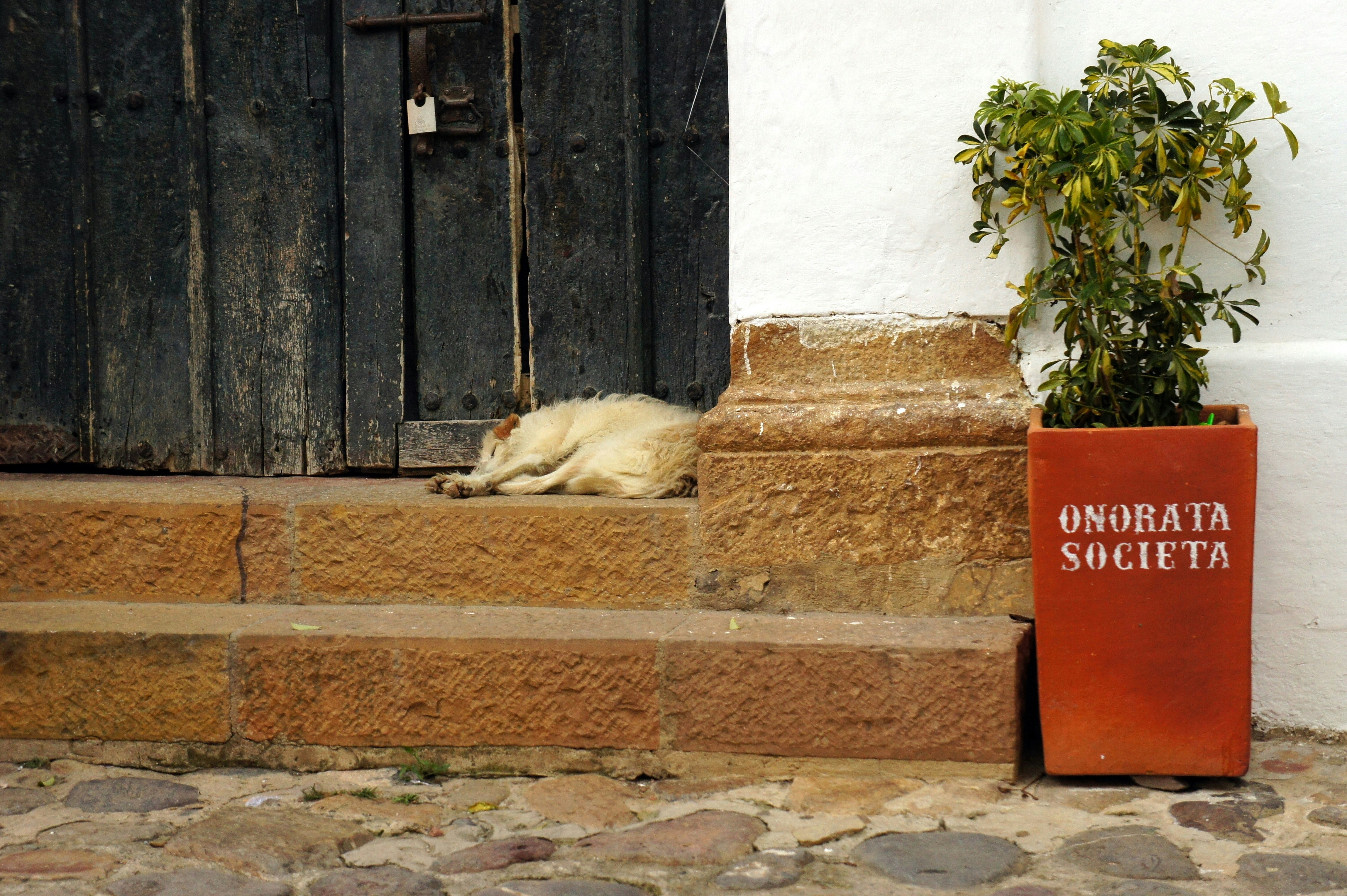 Free Unsplash photo from Manuel Herrera