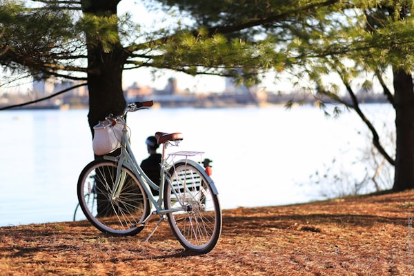 5 tips para administrar el tiempo laboral: Bicicleta en un parque con un lago