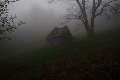 gray wooden house covered by fog misty zoom background